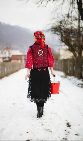 Гостиница Pensiunea Casiana  Ciulpăz